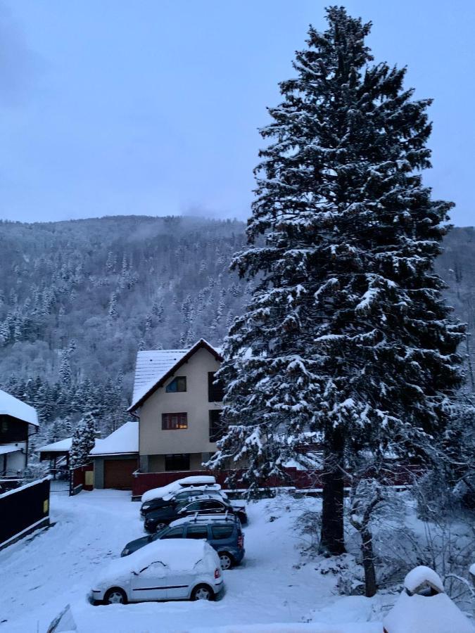 Holiday Home In Sinaia Esterno foto